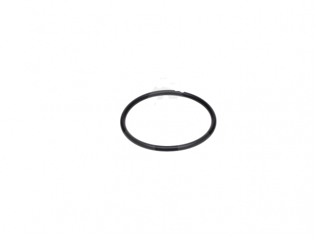 O-RING 17283381