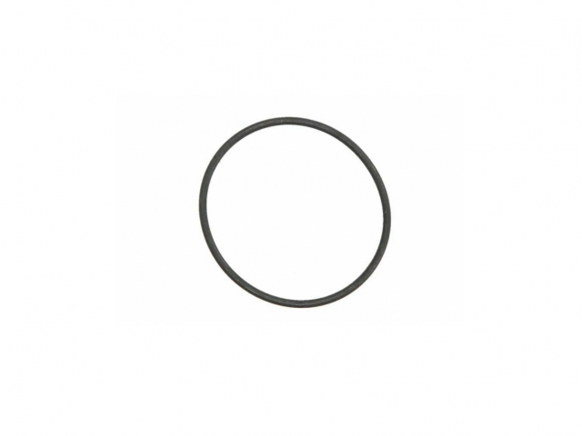 O-RING 17284281