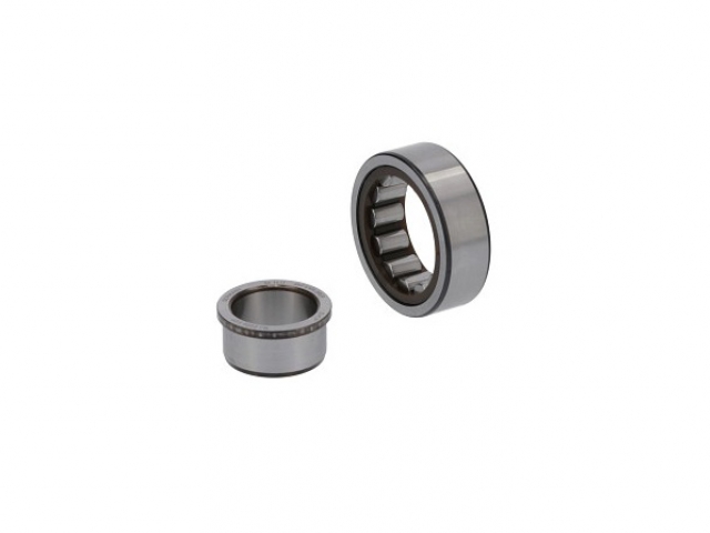 BEARING, ROLLER, CYL 48170182