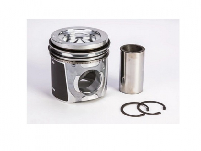 PISTON ASSY 500055469